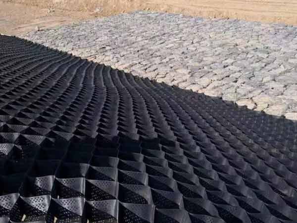 c(din)鿴Ԕ(x)Ϣ(bio)} xΔ(sh)1825