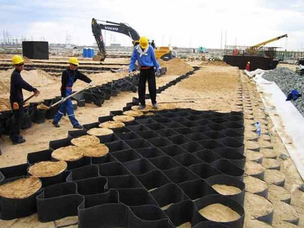 c(din)鿴Ԕ(x)Ϣ(bio)} xΔ(sh)1533