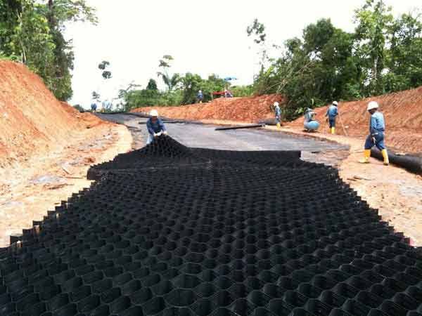 c(din)鿴Ԕ(x)Ϣ(bio)} xΔ(sh)1574